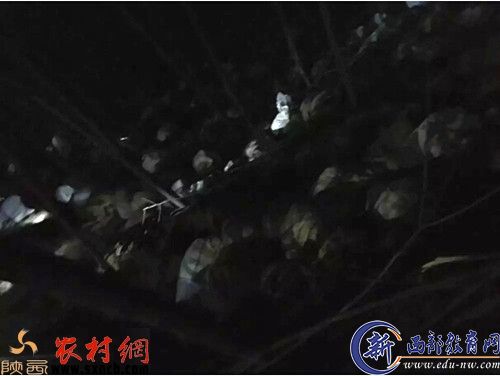 漏油点