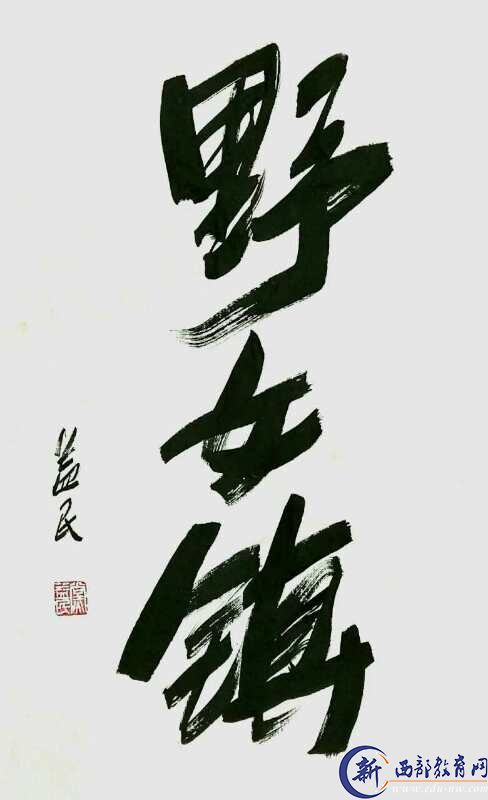 著名军旅作家党益民为李印功第二部长篇小说《野女镇》题写的书名。