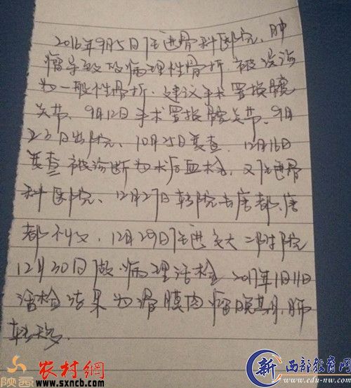 反映材料