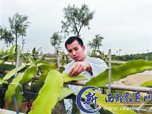 高考状元珠海种地 大四创业如今成300亩地农场主