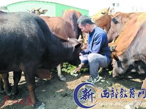 高考状元珠海种地 大四创业如今成300亩地农场主