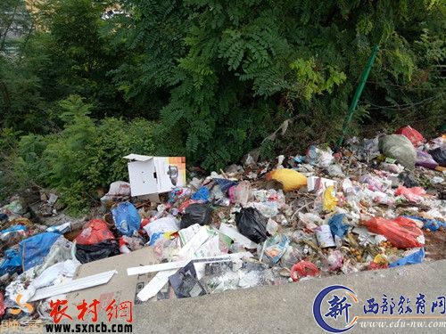 九里村五组（高速公路里边1）