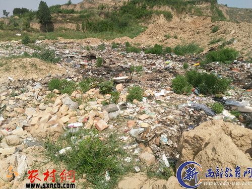 一望无际的各类垃圾带