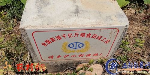 被毁耕地仍有水利设施