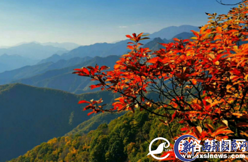 QQ图片20171030154418