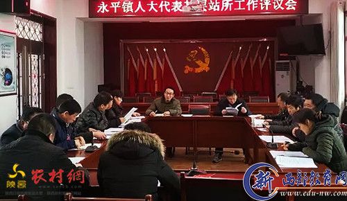 永寿县永平镇：人大代表基层行 视察调研助脱贫