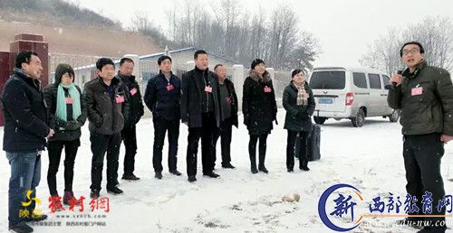 永寿县永平镇：人大代表基层行 视察调研助脱贫
